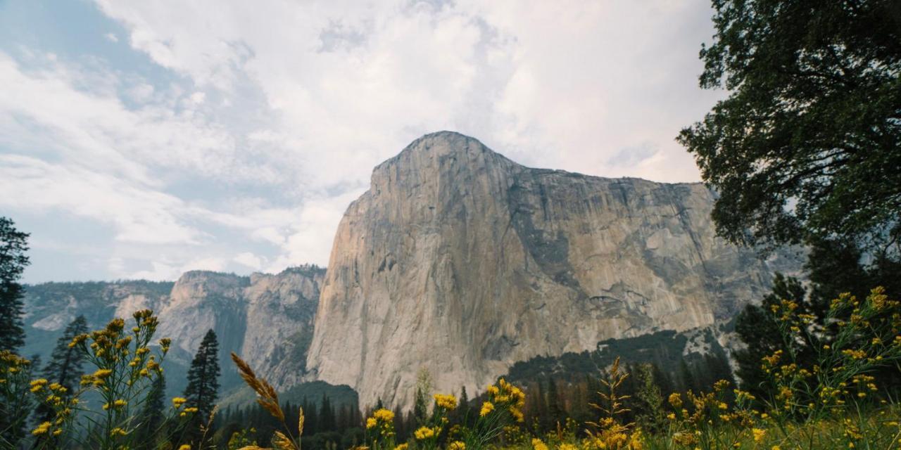 Autocamp Yosemite Hotel Midpines Eksteriør billede