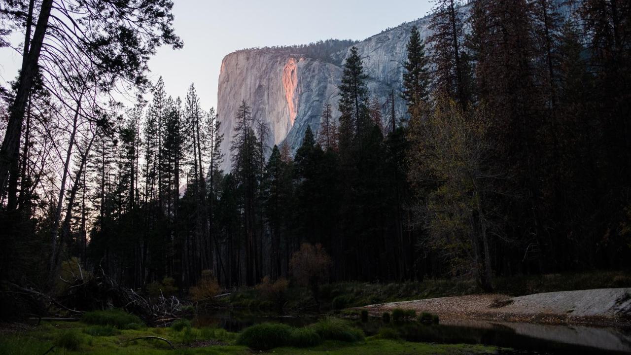 Autocamp Yosemite Hotel Midpines Eksteriør billede